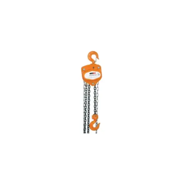 BIGLIFT CARASKAL 1 TON 5 MT